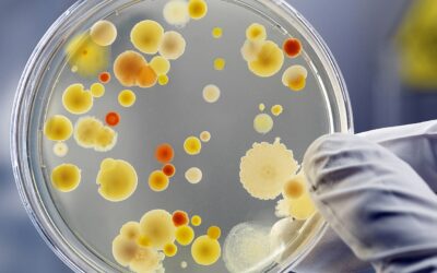 Microbiología Aplicada al Tratamiento de Aguas y Biorremediación
